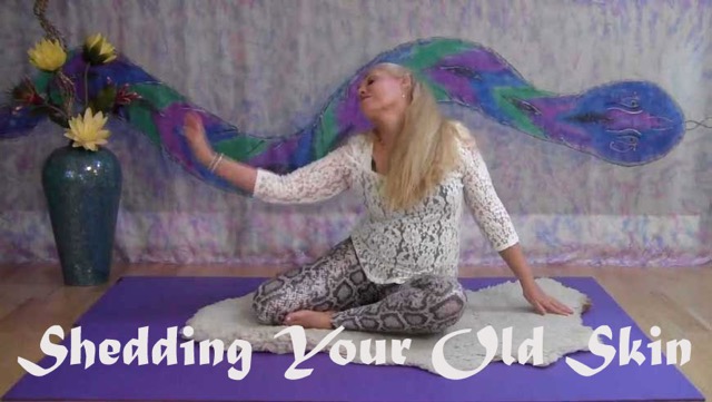 Shedding-Your-Old-Skin-2015